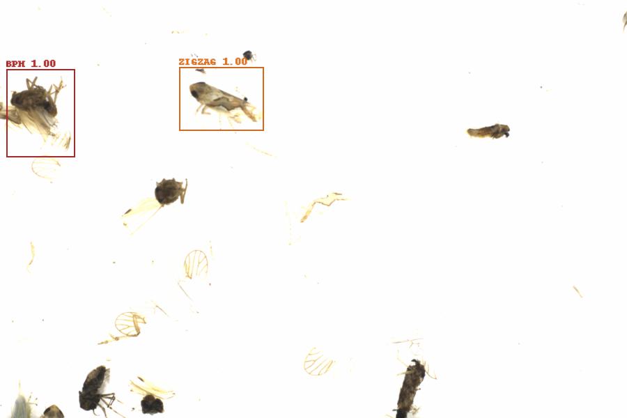 Fullscreen Image