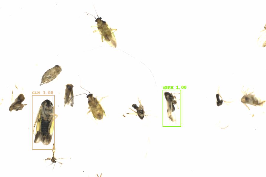 Fullscreen Image