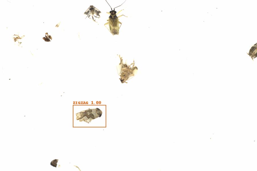Fullscreen Image