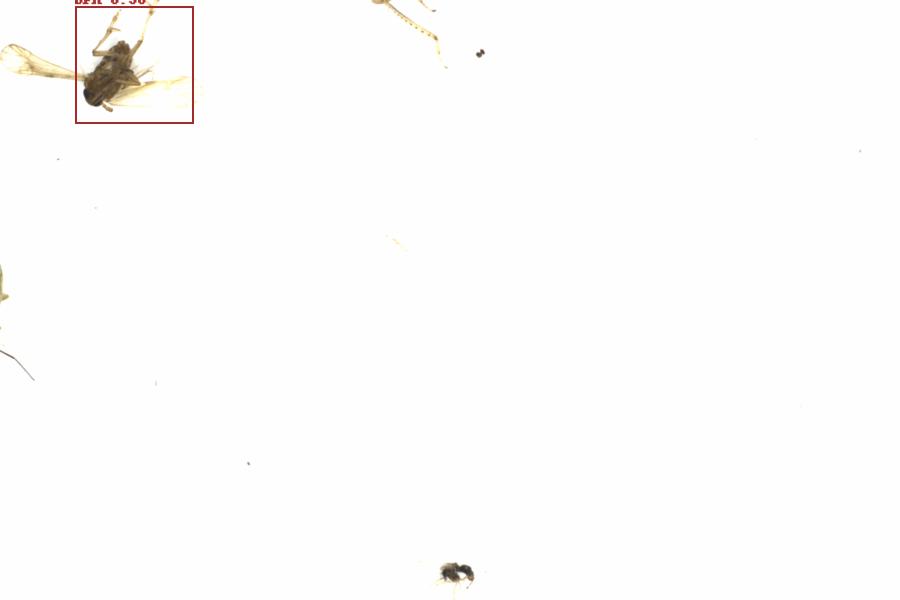 Fullscreen Image