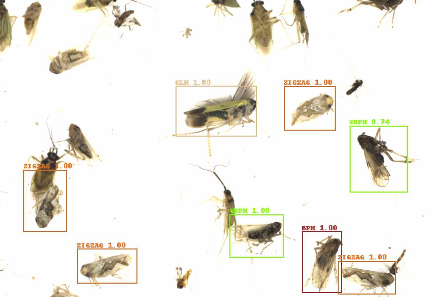 Fullscreen Image