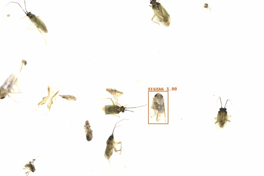 Fullscreen Image