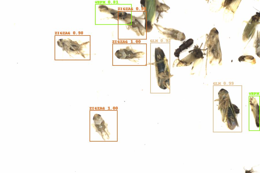 Fullscreen Image