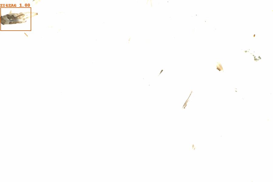 Fullscreen Image