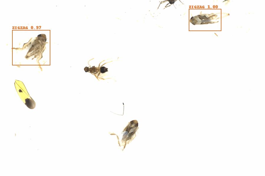 Fullscreen Image