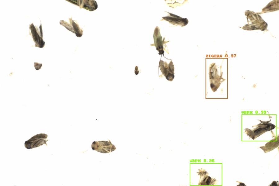 Fullscreen Image