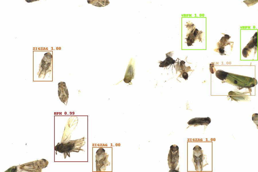 Fullscreen Image