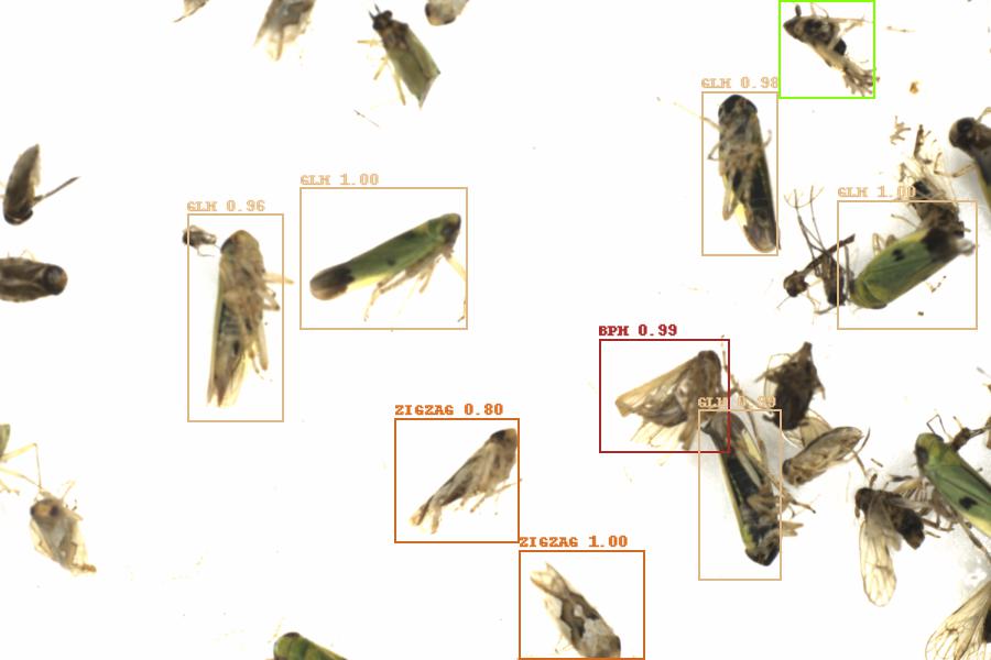 Fullscreen Image