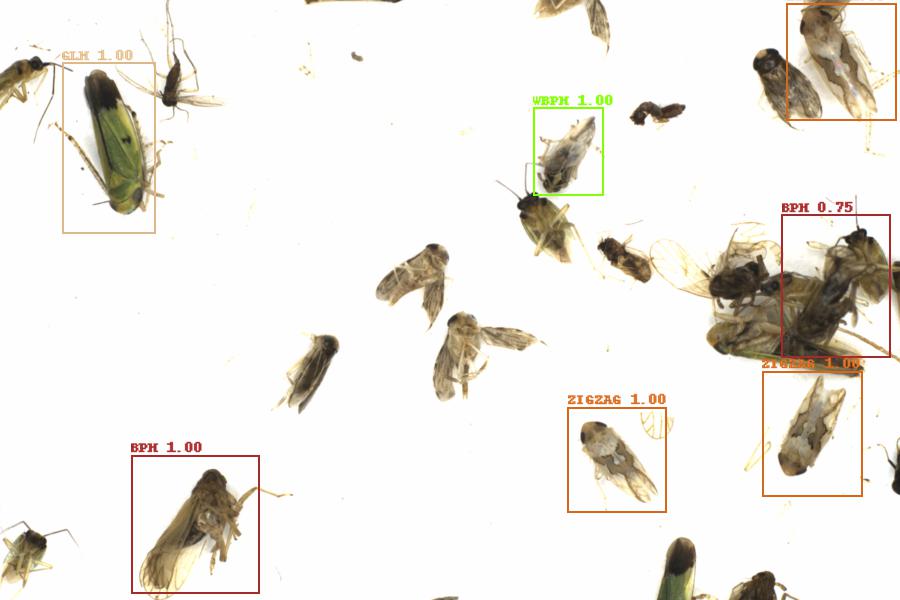 Fullscreen Image