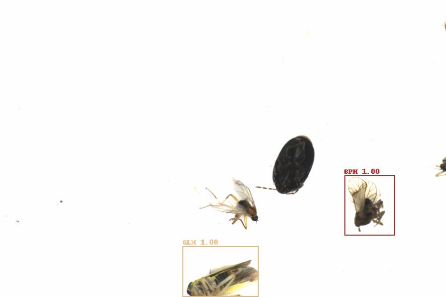 Fullscreen Image