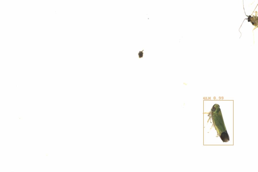 Fullscreen Image