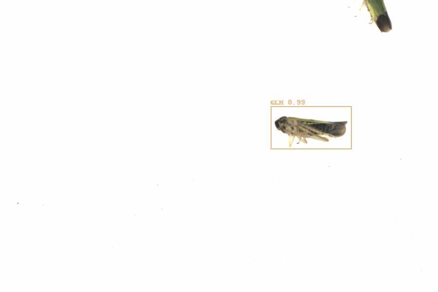 Fullscreen Image