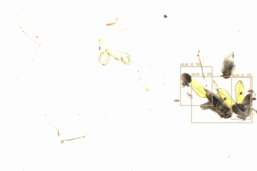 Fullscreen Image