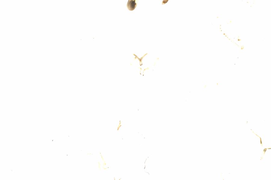 Fullscreen Image