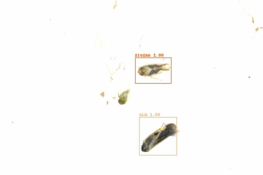 Fullscreen Image