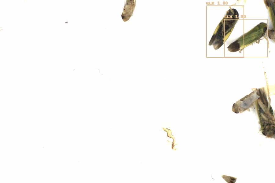 Fullscreen Image
