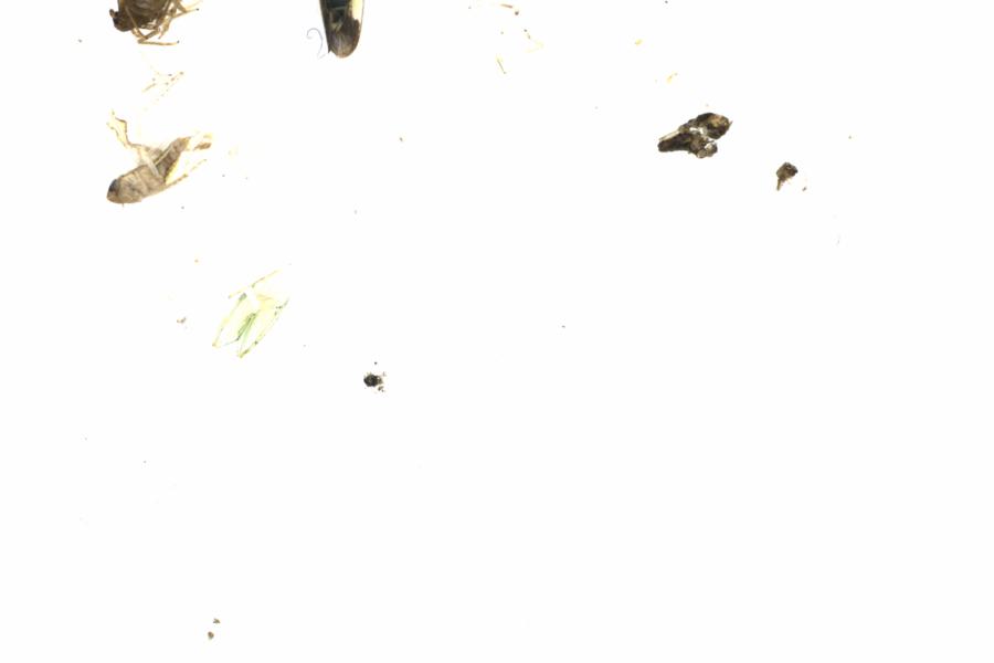 Fullscreen Image