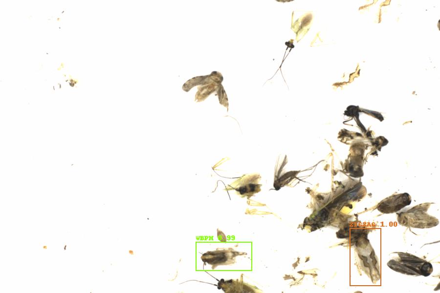 Fullscreen Image