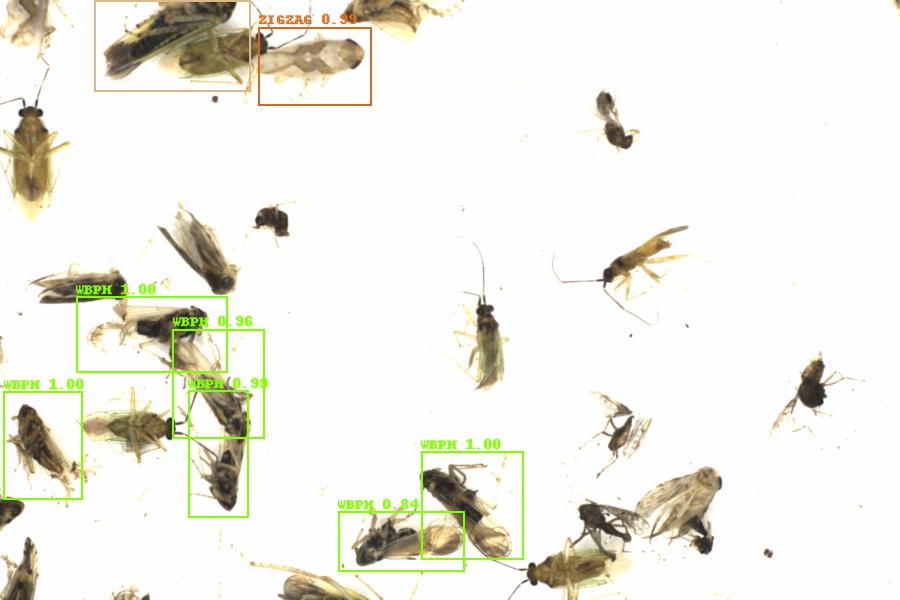 Fullscreen Image