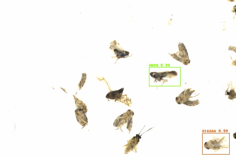 Fullscreen Image