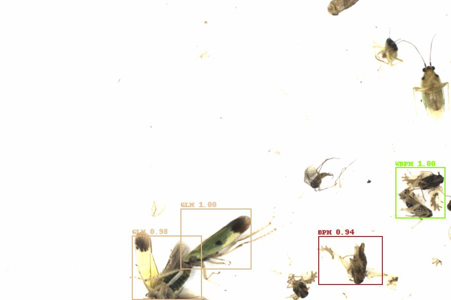 Fullscreen Image