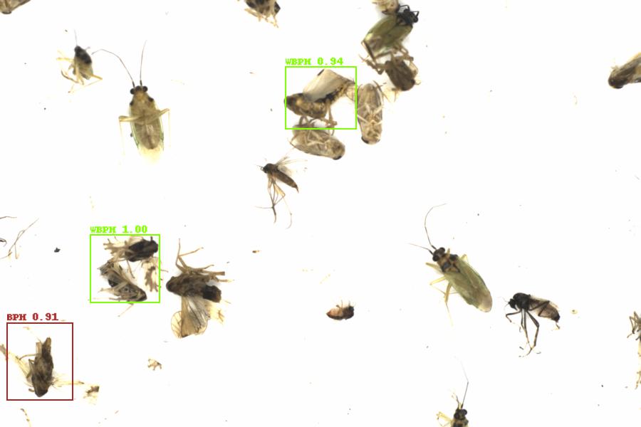 Fullscreen Image