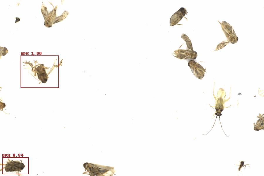 Fullscreen Image