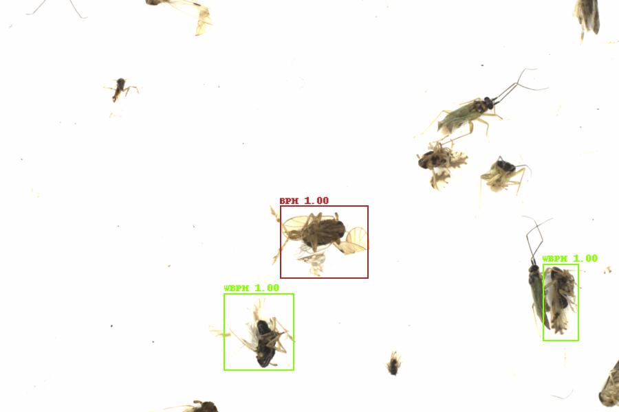 Fullscreen Image