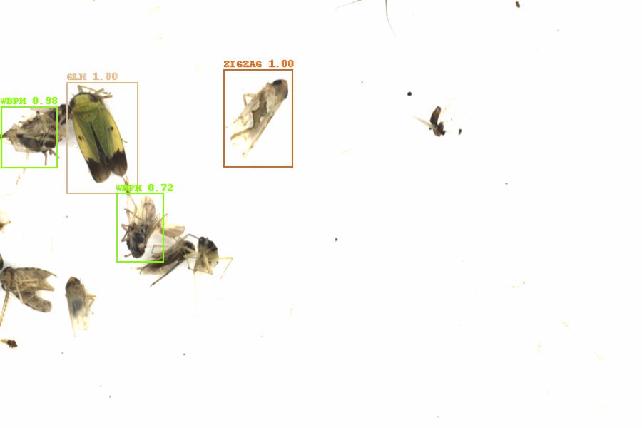 Fullscreen Image