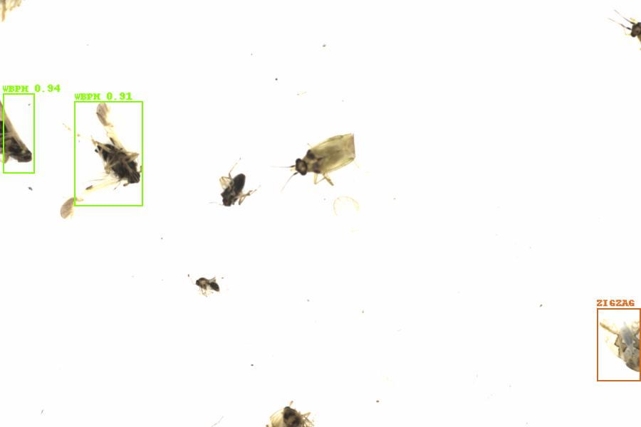 Fullscreen Image