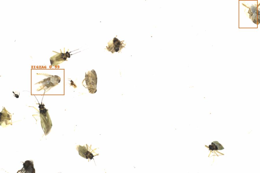 Fullscreen Image
