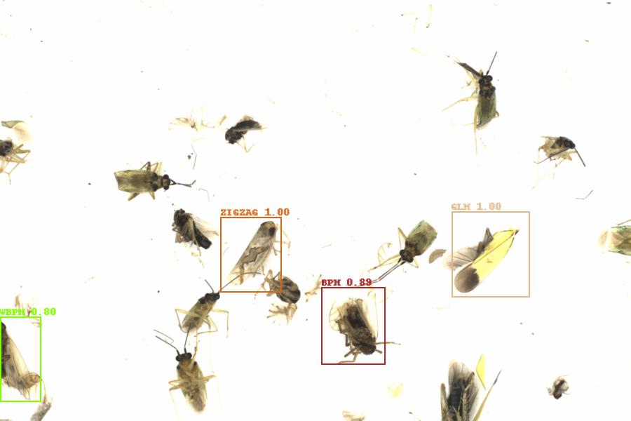 Fullscreen Image
