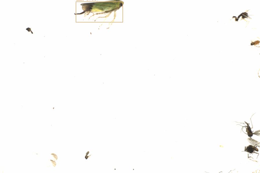 Fullscreen Image