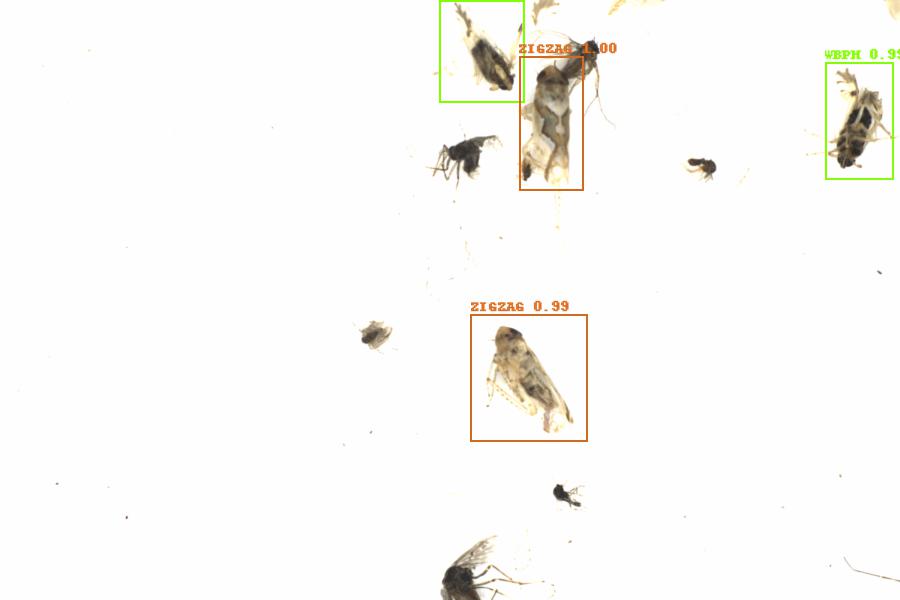 Fullscreen Image