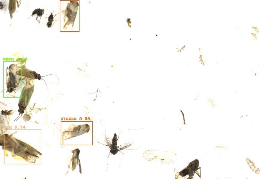 Fullscreen Image