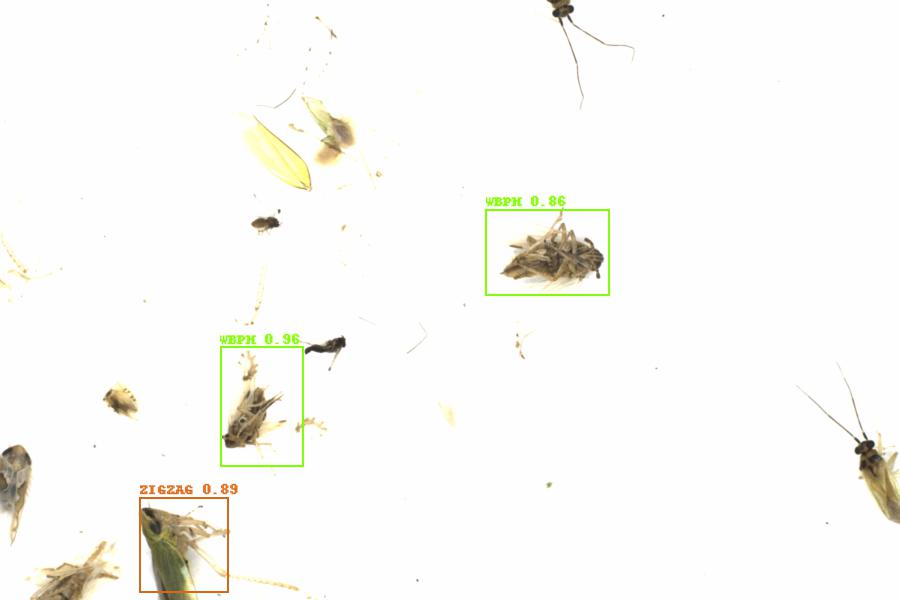 Fullscreen Image