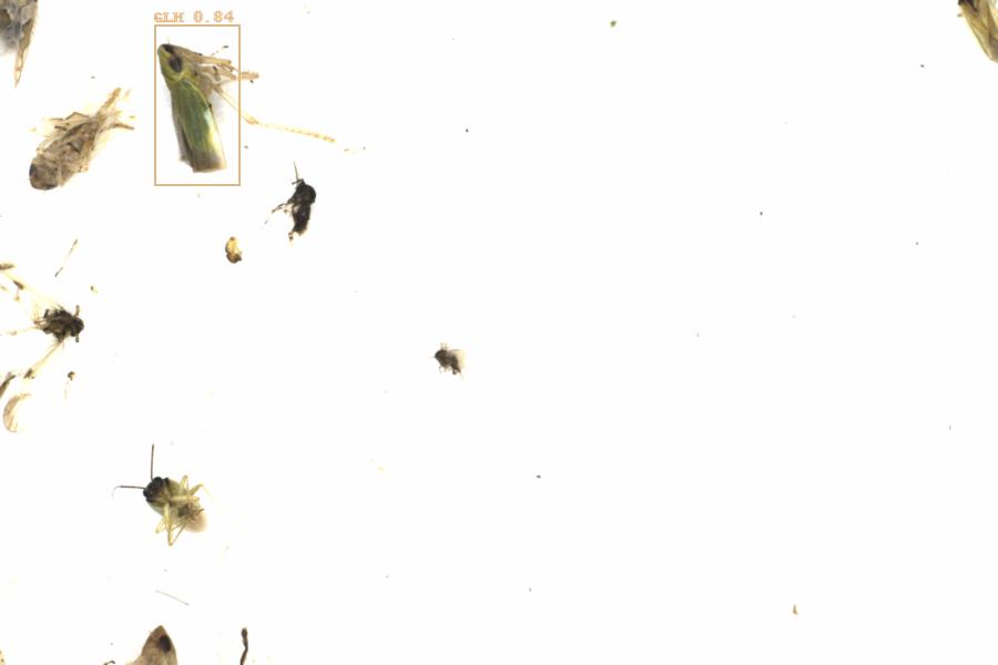 Fullscreen Image