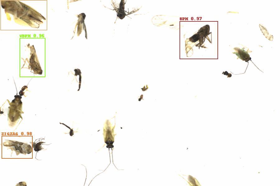 Fullscreen Image