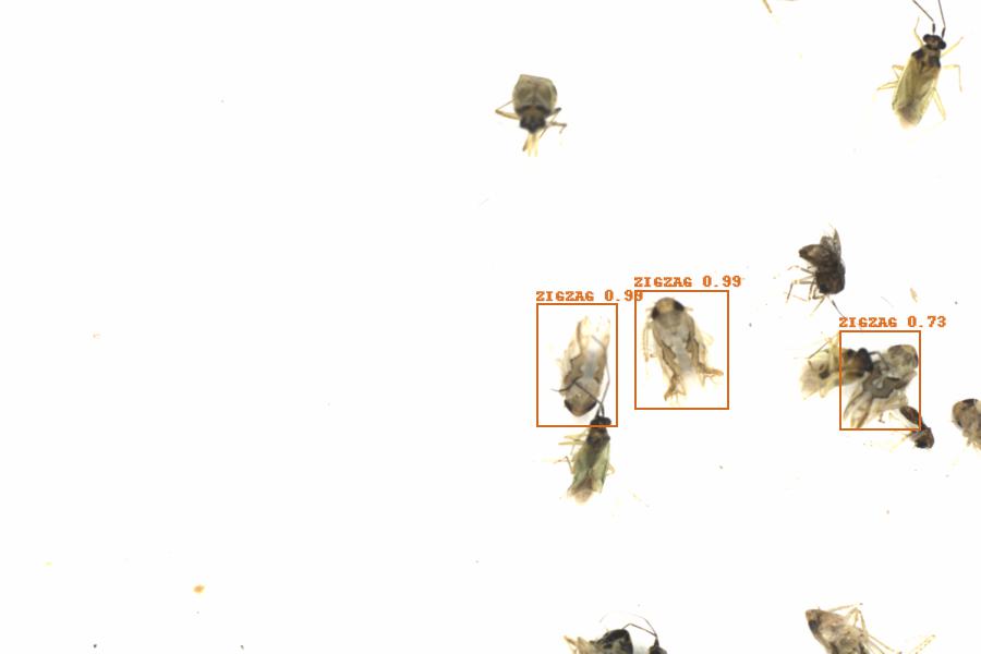 Fullscreen Image