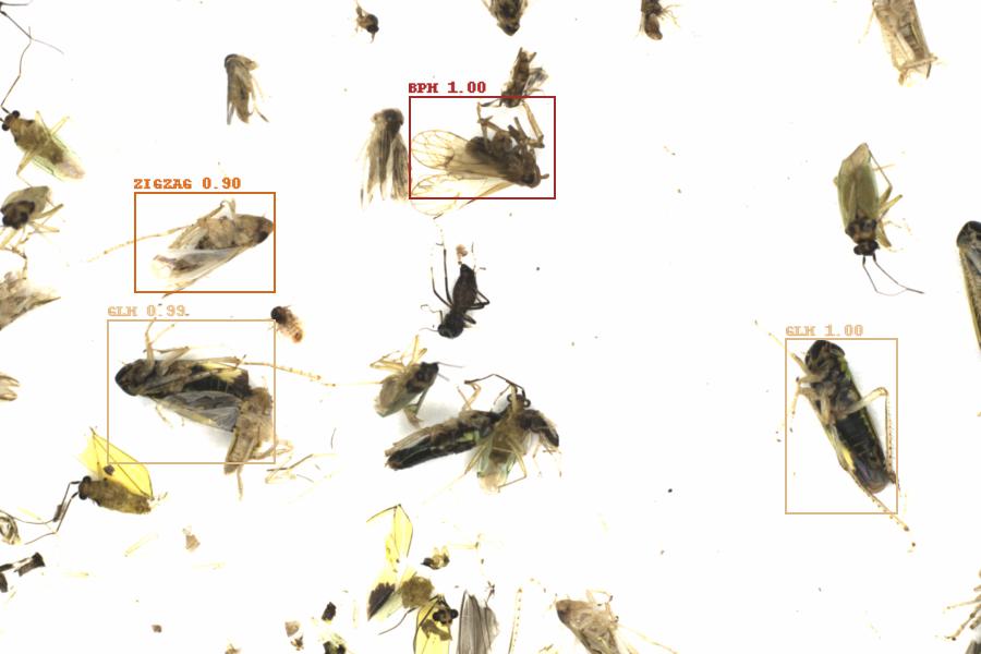 Fullscreen Image