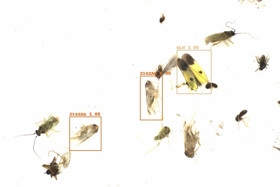 Fullscreen Image