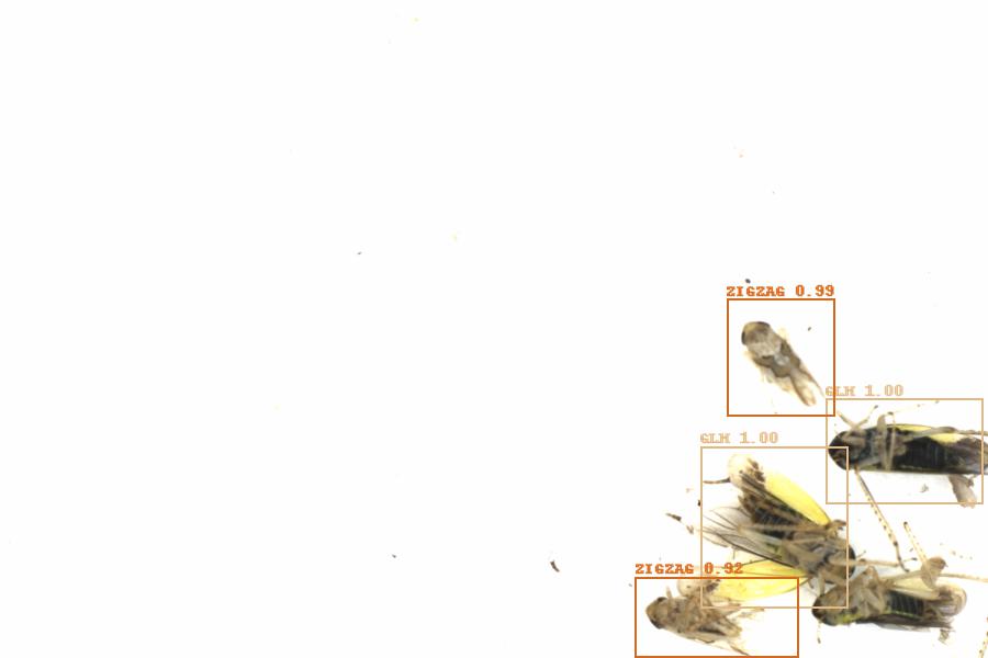 Fullscreen Image