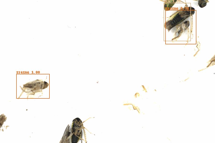 Fullscreen Image