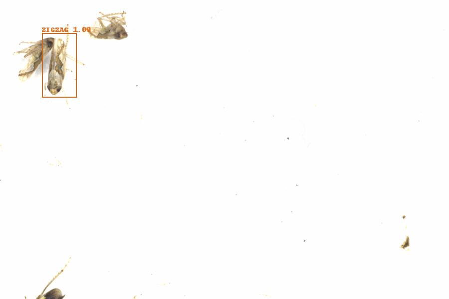 Fullscreen Image