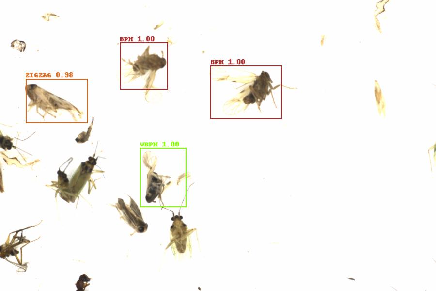 Fullscreen Image