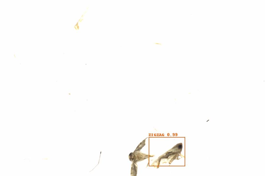 Fullscreen Image