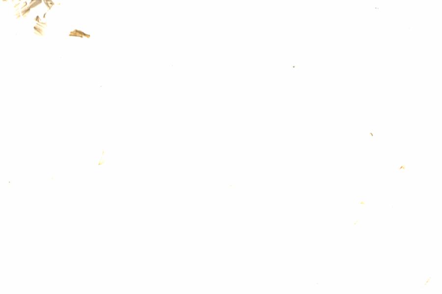 Fullscreen Image