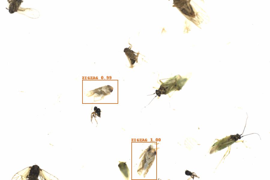 Fullscreen Image