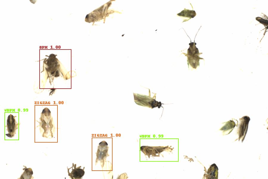 Fullscreen Image