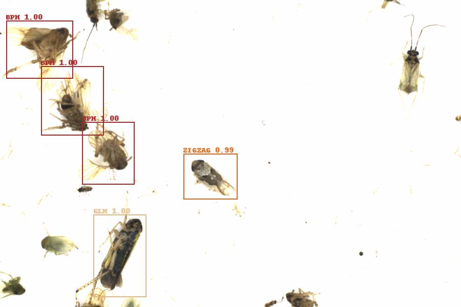 Fullscreen Image